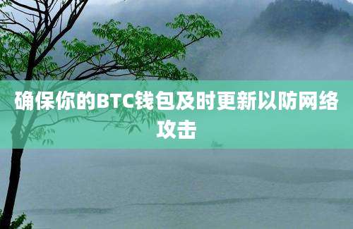 确保你的BTC钱包及时更新以防网络攻击