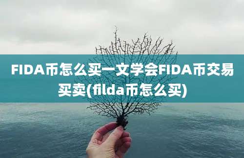 FIDA币怎么买一文学会FIDA币交易买卖(filda币怎么买)