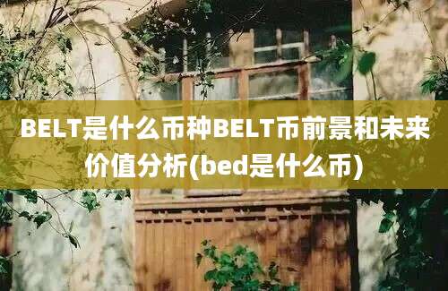 BELT是什么币种BELT币前景和未来价值分析(bed是什么币)