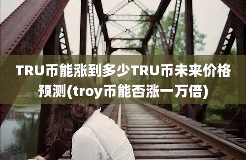 TRU币能涨到多少TRU币未来价格预测(troy币能否涨一万倍)