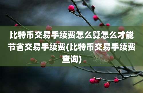 比特币交易手续费怎么算怎么才能节省交易手续费(比特币交易手续费查询)