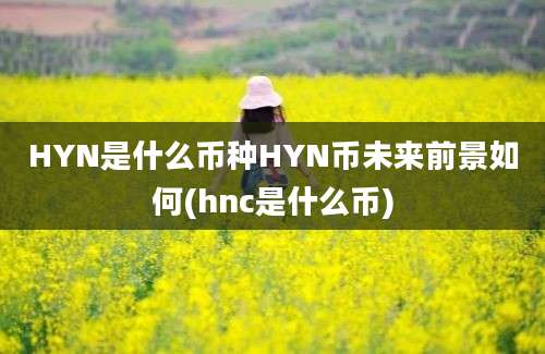 HYN是什么币种HYN币未来前景如何(hnc是什么币)