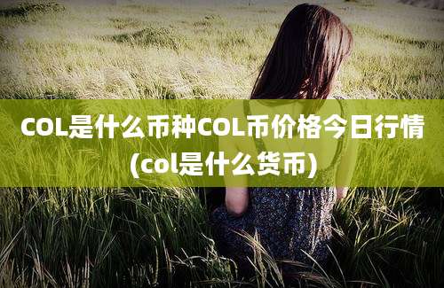 COL是什么币种COL币价格今日行情(col是什么货币)