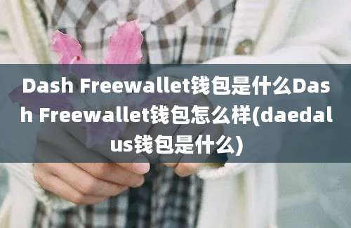 Dash Freewallet钱包是什么Dash Freewallet钱包怎么样(daedalus钱包是什么)