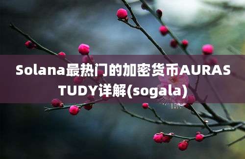 Solana最热门的加密货币AURASTUDY详解(sogala)