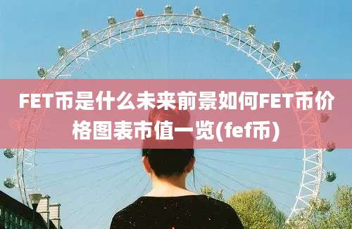 FET币是什么未来前景如何FET币价格图表市值一览(fef币)