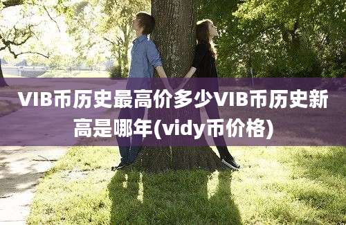 VIB币历史最高价多少VIB币历史新高是哪年(vidy币价格)