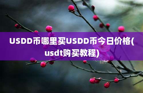 USDD币哪里买USDD币今日价格(usdt购买教程)