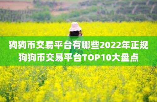 狗狗币交易平台有哪些2022年正规狗狗币交易平台TOP10大盘点