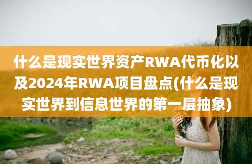 什么是现实世界资产RWA代币化以及2024年RWA项目盘点(什么是现实世界到信息世界的第一层抽象)