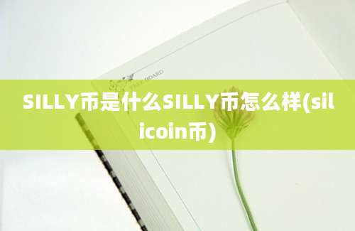 SILLY币是什么SILLY币怎么样(silicoin币)