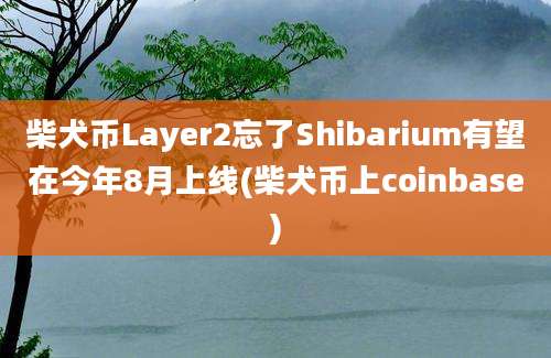 柴犬币Layer2忘了Shibarium有望在今年8月上线(柴犬币上coinbase)