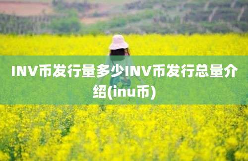 INV币发行量多少INV币发行总量介绍(inu币)