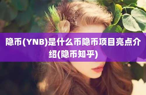 隐币(YNB)是什么币隐币项目亮点介绍(隐币知乎)