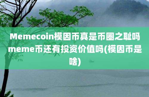 Memecoin模因币真是币圈之耻吗meme币还有投资价值吗(模因币是啥)