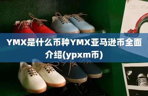 YMX是什么币种YMX亚马逊币全面介绍(ypxm币)