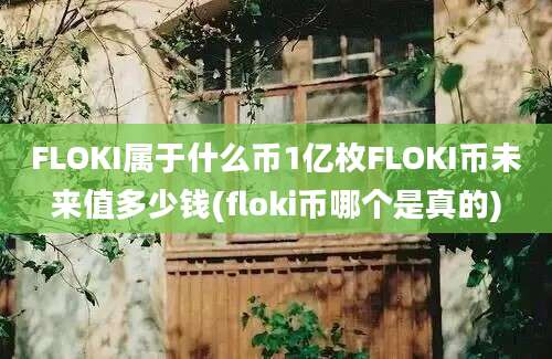 FLOKI属于什么币1亿枚FLOKI币未来值多少钱(floki币哪个是真的)