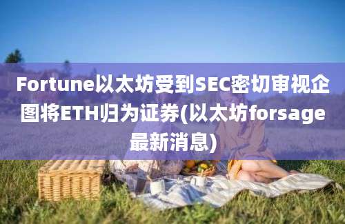 Fortune以太坊受到SEC密切审视企图将ETH归为证券(以太坊forsage最新消息)