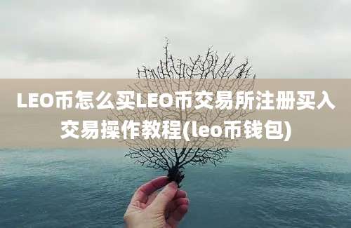 LEO币怎么买LEO币交易所注册买入交易操作教程(leo币钱包)