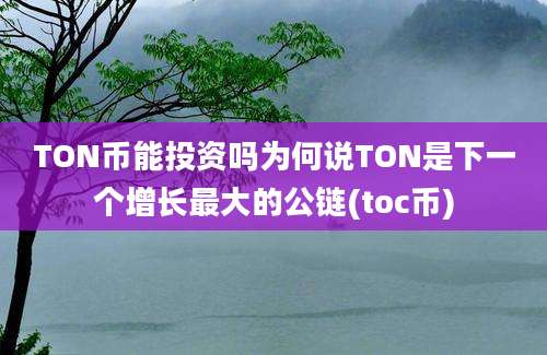 TON币能投资吗为何说TON是下一个增长最大的公链(toc币)