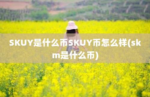 SKUY是什么币SKUY币怎么样(skm是什么币)