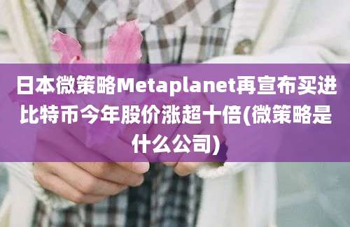 日本微策略Metaplanet再宣布买进比特币今年股价涨超十倍(微策略是什么公司)