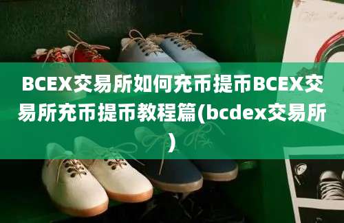 BCEX交易所如何充币提币BCEX交易所充币提币教程篇(bcdex交易所)