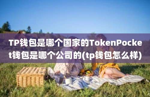 TP钱包是哪个国家的TokenPocket钱包是哪个公司的(tp钱包怎么样)