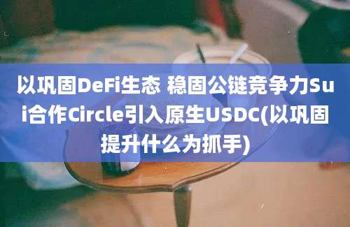 以巩固DeFi生态 稳固公链竞争力Sui合作Circle引入原生USDC(以巩固提升什么为抓手)