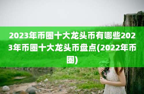 2023年币圈十大龙头币有哪些2023年币圈十大龙头币盘点(2022年币圈)