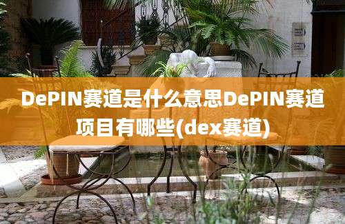 DePIN赛道是什么意思DePIN赛道项目有哪些(dex赛道)