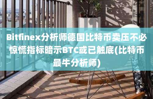 Bitfinex分析师德国比特币卖压不必惊慌指标暗示BTC或已触底(比特币最牛分析师)