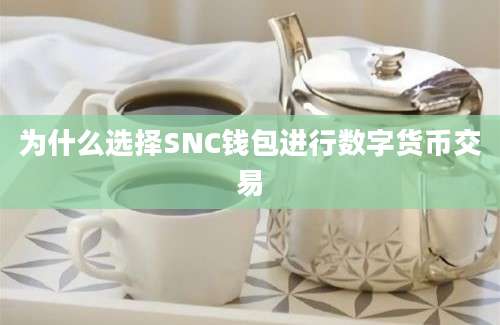 为什么选择SNC钱包进行数字货币交易