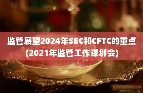 监管展望2024年SEC和CFTC的重点(2021年监管工作谋划会)