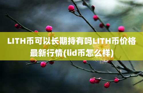 LITH币可以长期持有吗LITH币价格最新行情(lid币怎么样)