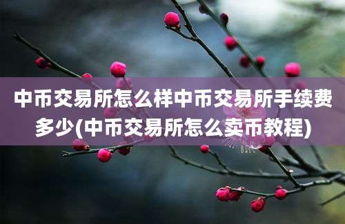 中币交易所怎么样中币交易所手续费多少(中币交易所怎么卖币教程)