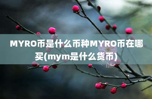 MYRO币是什么币种MYRO币在哪买(mym是什么货币)