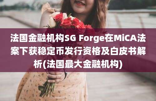 法国金融机构SG Forge在MiCA法案下获稳定币发行资格及白皮书解析(法国最大金融机构)