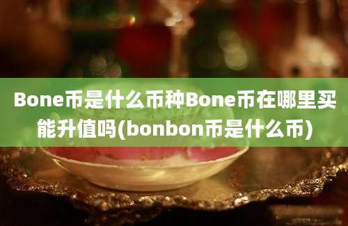 Bone币是什么币种Bone币在哪里买能升值吗(bonbon币是什么币)