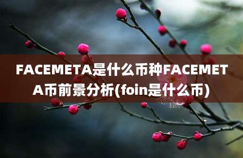 FACEMETA是什么币种FACEMETA币前景分析(foin是什么币)