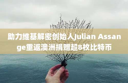 助力维基解密创始人Julian Assange重返澳洲捐赠超8枚比特币