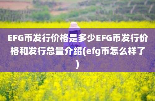 EFG币发行价格是多少EFG币发行价格和发行总量介绍(efg币怎么样了)