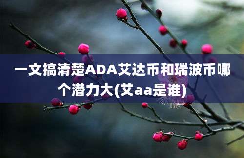 一文搞清楚ADA艾达币和瑞波币哪个潜力大(艾aa是谁)