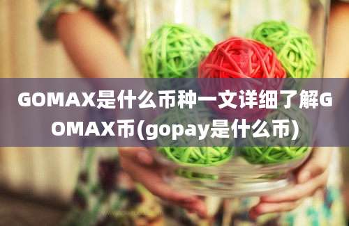 GOMAX是什么币种一文详细了解GOMAX币(gopay是什么币)