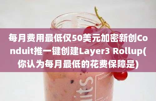 每月费用最低仅50美元加密新创Conduit推一键创建Layer3 Rollup(你认为每月最低的花费保障是)