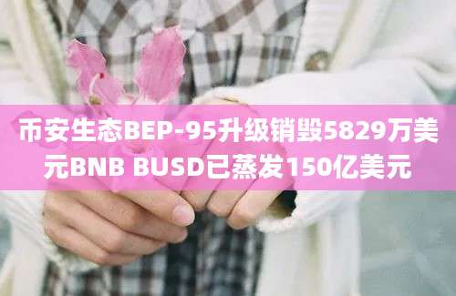 币安生态BEP-95升级销毁5829万美元BNB BUSD已蒸发150亿美元