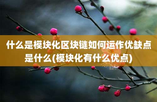 什么是模块化区块链如何运作优缺点是什么(模块化有什么优点)