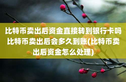 比特币卖出后资金直接转到银行卡吗比特币卖出后会多久到账(比特币卖出后资金怎么处理)