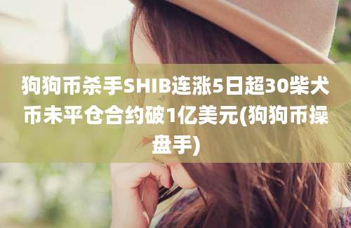 狗狗币杀手SHIB连涨5日超30柴犬币未平仓合约破1亿美元(狗狗币操盘手)