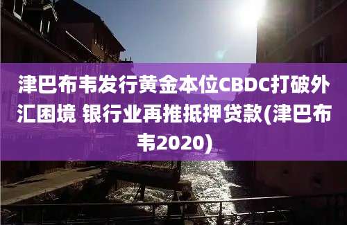 津巴布韦发行黄金本位CBDC打破外汇困境 银行业再推抵押贷款(津巴布韦2020)